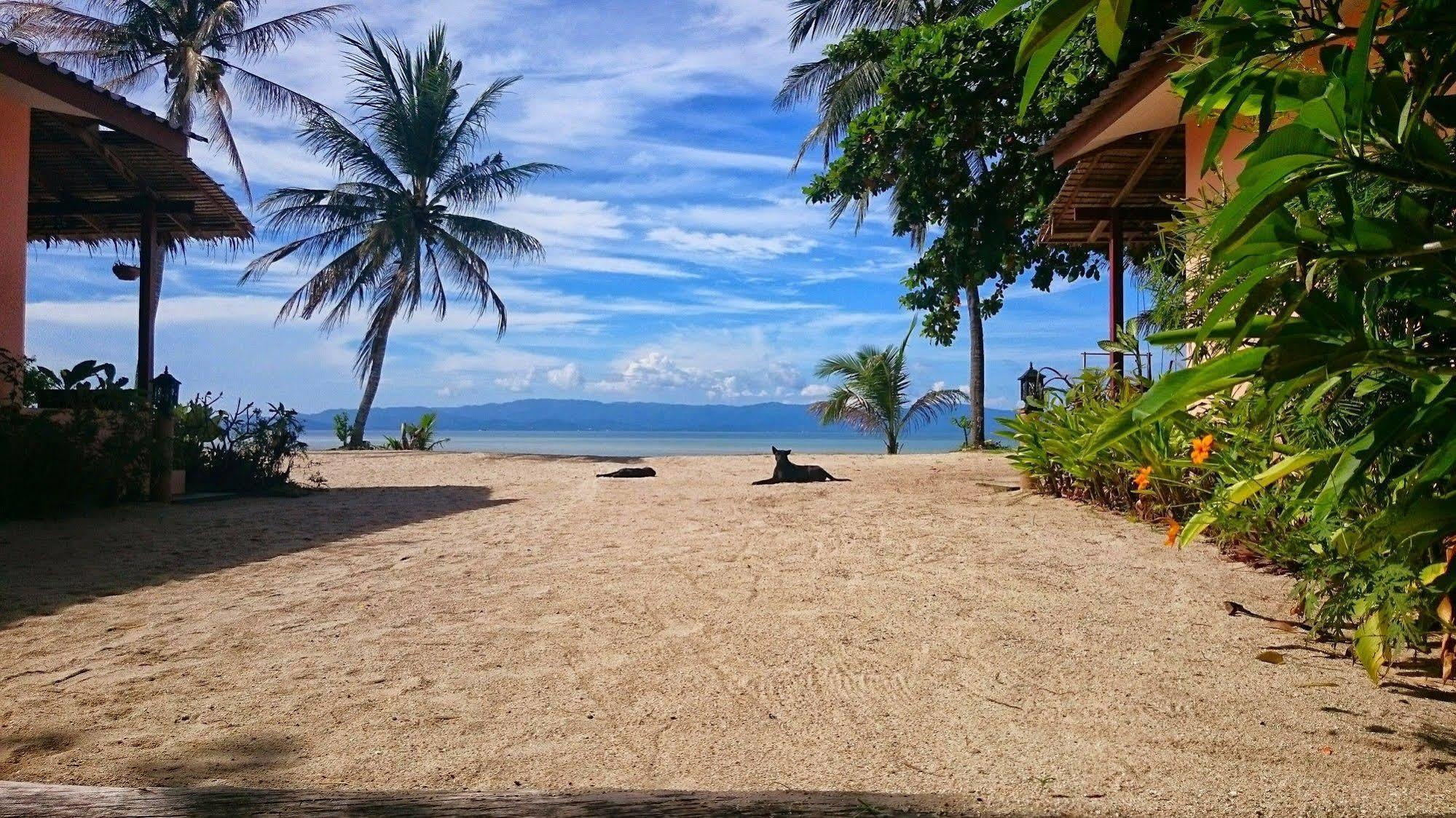 Papillon Bungalows Баан Тай Экстерьер фото